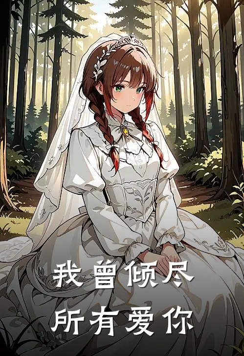 我曾倾尽所有爱你