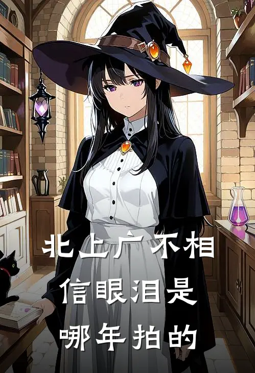 北上广不相信眼泪是哪年拍的