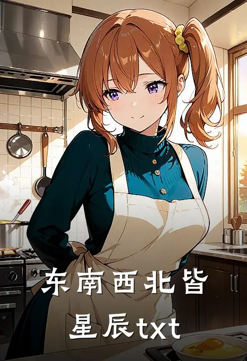 东南西北皆星辰txt